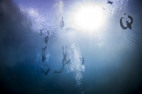 DIVE  2016/22