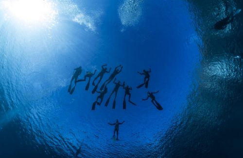 DIVE  2016/22