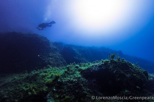DIVE  2016/22
