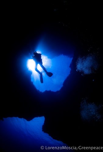 DIVE  2016/22