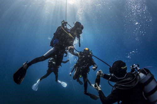 DIVE  2016/22