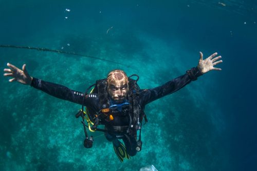 DIVE  2016/22