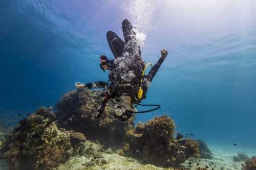 DIVE  2016/22