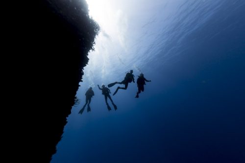 DIVE  2016/22