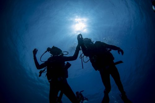 DIVE  2016/22