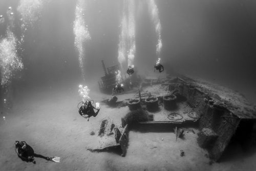 DIVE  2016/22