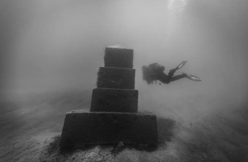 DIVE  2016/22