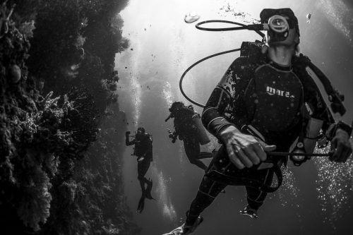 DIVE  2016/22