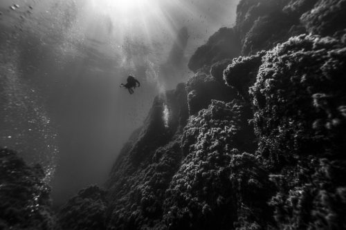 DIVE  2016/22