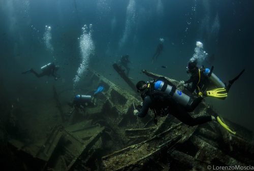 DIVE  2016/22