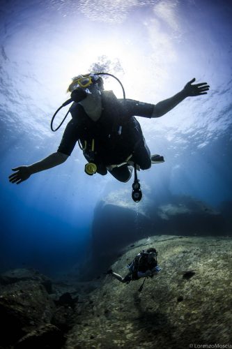 DIVE  2016/22