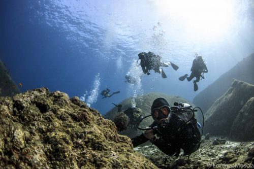 DIVE  2016/22