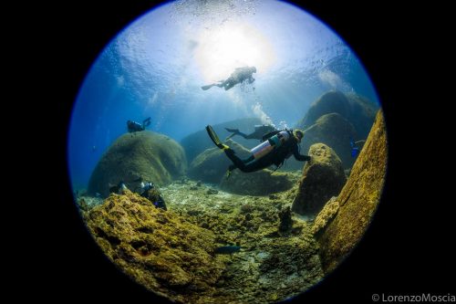 DIVE  2016/22