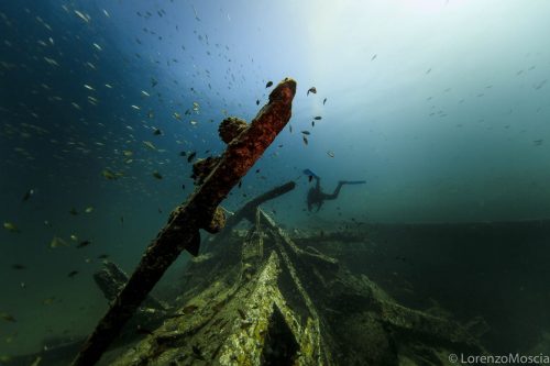 DIVE  2016/22