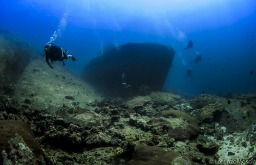 DIVE  2016/22