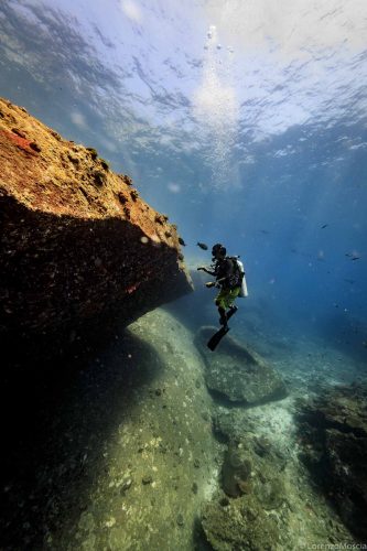 DIVE  2016/22