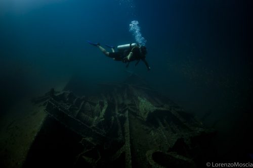 DIVE  2016/22