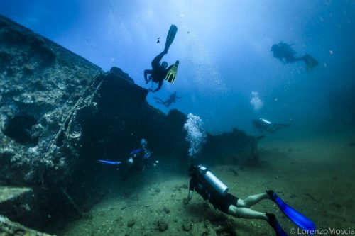 DIVE  2016/22