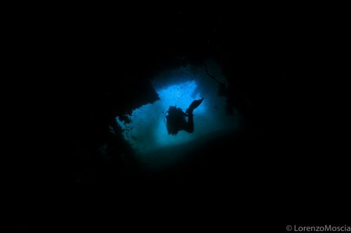 DIVE  2016/22