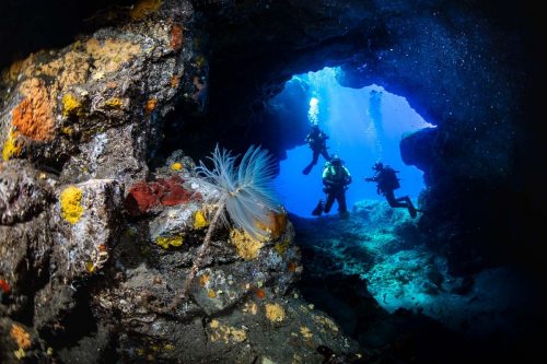 DIVE  2016/22