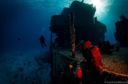DIVE  2016/22