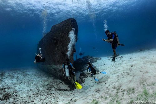 DIVE  2016/22