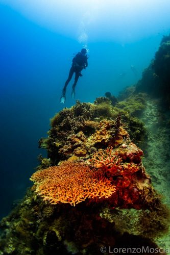 Panglao Island, Philippines Ago/Sept 2017