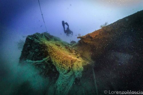 DIVE  2016/22