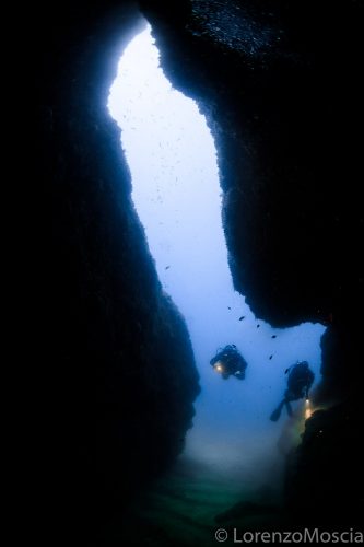 DIVE  2016/22