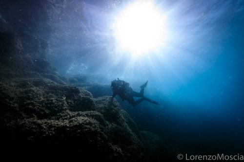 DIVE  2016/22