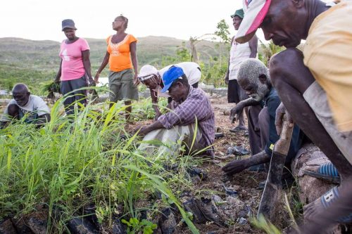 Haiti matthews hurricane aftermath 2016