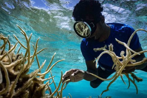 Ebadon island , Marshalls islands. July 2023, images of the tiny island of Ebadon where a community of 80 people live. Located 75 nautical miles from the capital Ebeye.