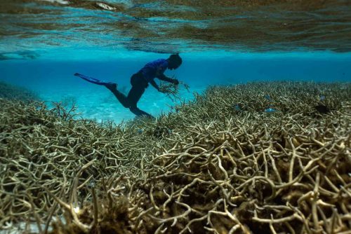Ebadon island , Marshalls islands. July 2023, images of the tiny island of Ebadon where a community of 80 people live. Located 75 nautical miles from the capital Ebeye.