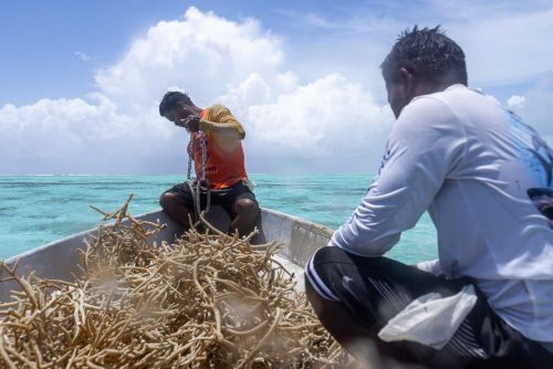 Ebadon island , Marshalls islands. July 2023, images of the tiny island of Ebadon where a community of 80 people live. Located 75 nautical miles from the capital Ebeye.