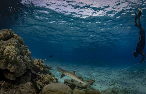 MARSHALL ISLANDS-EBEYE 2019