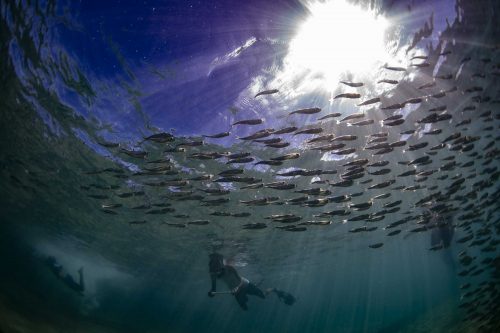 MARSHALL ISLANDS-EBEYE 2019