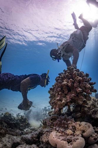 MARSHALL ISLANDS-EBEYE 2019
