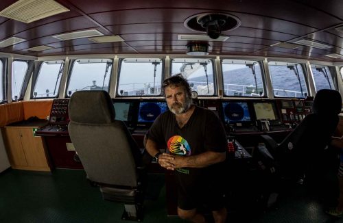 Peter Willcoxs an American sea captain best known for his activism with the environmental organization Greenpeace. He was on board as captain of the Rainbow Warrior when it was bombed and sunk by the DGSE (French intelligence service) in New Zealand in 1985.