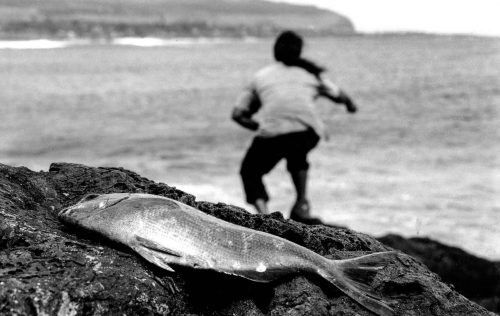 Rapa Nui 1997 - 2011vecchia
