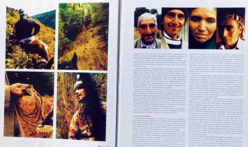 Tear sheets