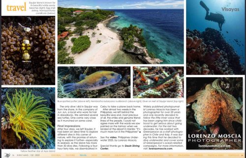 Tear sheets